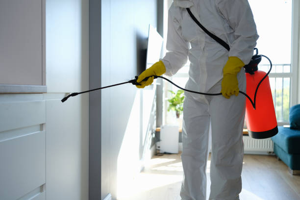 Mold Remediation for Vacation Homes in Laton, CA